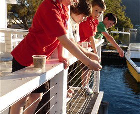Dunbogan Boatshed - Hervey Bay Accommodation 3