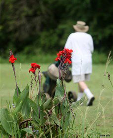 Teven Valley Golf Course - Hervey Bay Accommodation 3