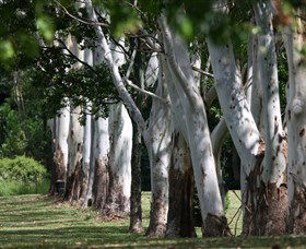 Teven Valley Golf Course - Hervey Bay Accommodation 1
