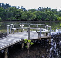 Walk on Water walking track - Hervey Bay Accommodation