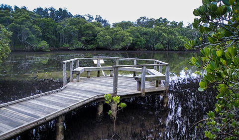Walk On Water Walking Track - Hervey Bay Accommodation 0