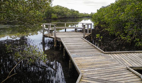 Walk On Water Walking Track - Hervey Bay Accommodation 1