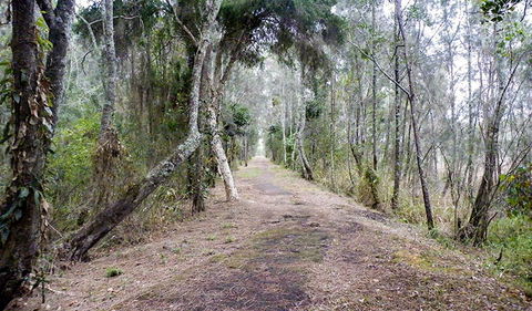 Walk On Water Walking Track - Hervey Bay Accommodation 2