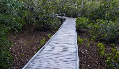 Walk On Water Walking Track - Hervey Bay Accommodation 3
