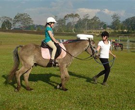 Port Macquarie Horse Riding Centre - Hervey Bay Accommodation 0