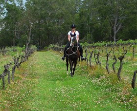 Port Macquarie Horse Riding Centre - Hervey Bay Accommodation 1