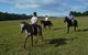 Port Macquarie Horse Riding Centre - thumb 5