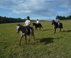 Port Macquarie Horse Riding Centre - Hervey Bay Accommodation 5