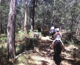 Port Macquarie Horse Riding Centre - Hervey Bay Accommodation 4