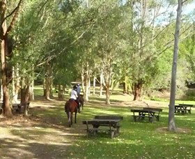 Port Macquarie Horse Riding Centre - Hervey Bay Accommodation 6