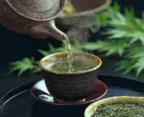 World Par-TEA - Tourism Hervey Bay 0