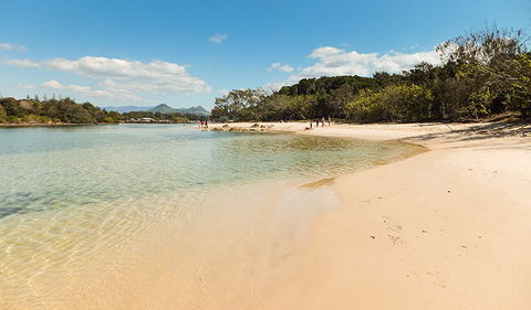 Brunswick Heads Nature Reserve - Hervey Bay Accommodation 0