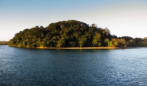 Brunswick Heads Nature Reserve - Hervey Bay Accommodation 1