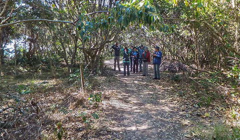 Brunswick Heads Nature Reserve - Hervey Bay Accommodation 3
