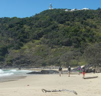 Jack Perkins walking track - Hervey Bay Accommodation