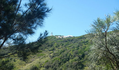 Jack Perkins Walking Track - Hervey Bay Accommodation 3