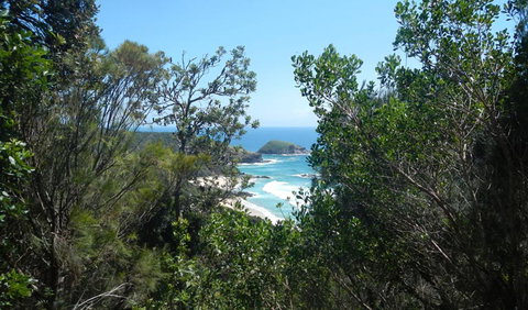 Jack Perkins Walking Track - Hervey Bay Accommodation 1
