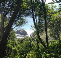 Rainforest walking track - Hervey Bay Accommodation