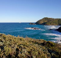 Smoky Cape walking track - Hervey Bay Accommodation
