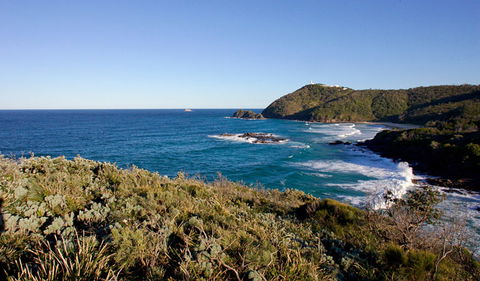 Smoky Cape Walking Track - Hervey Bay Accommodation 0