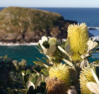 Green Island walking track - Hervey Bay Accommodation