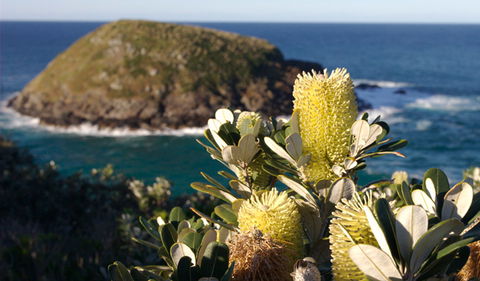 Green Island Walking Track - Hervey Bay Accommodation 0