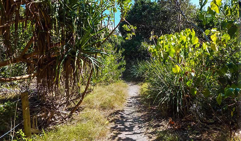 New Brighton NSW Hervey Bay Accommodation
