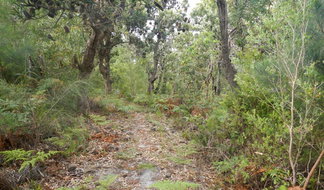 Book Hat Head NSW Attractions Hervey Bay Accommodation Hervey Bay Accommodation