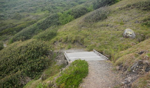 Connors Walking Track - Hervey Bay Accommodation 2