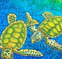 Sea Silks Gallery - Hervey Bay Accommodation