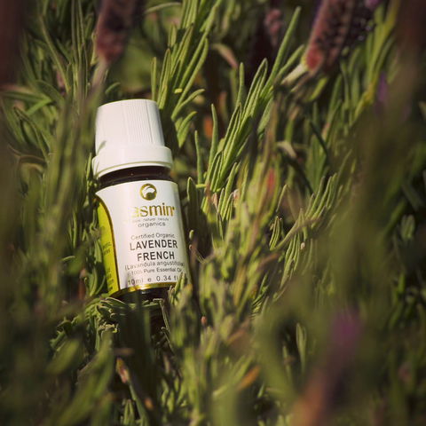 Jasmin Organics Skincare Farm And Factory - Hervey Bay Accommodation 7