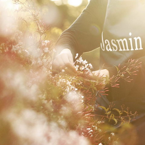 Jasmin Organics Skincare Farm And Factory - Hervey Bay Accommodation 8