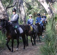 Mirravale Horse Riding School - Hervey Bay Accommodation