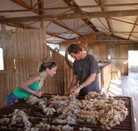 Peron Homestead - Hervey Bay Accommodation