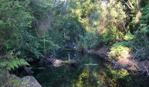 Nadgee Nature Reserve - Hervey Bay Accommodation 2