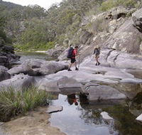Nadgee Wilderness Walk - Hervey Bay Accommodation