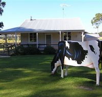 Millers Ice Cream - Hervey Bay Accommodation