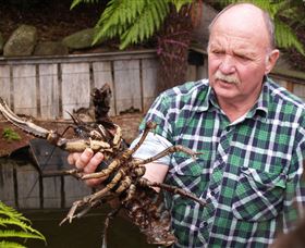 Lobster Ponds - Hervey Bay Accommodation 0