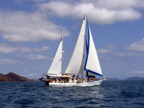 Adventure, Cruise, Dive And Outer Reef - Whitsundays Sailing Adventures - Hervey Bay Accommodation 6