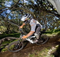 All Terrain Cycles - Hervey Bay Accommodation