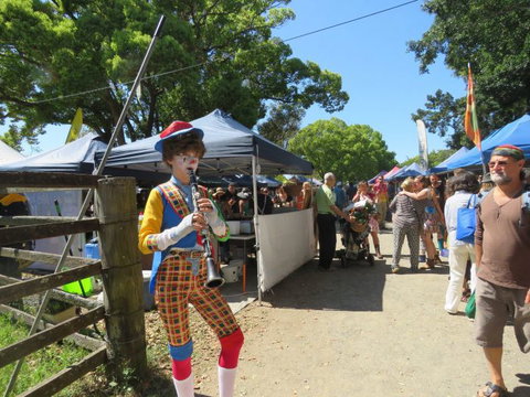 Vision Walks Eco Tours - Hervey Bay Accommodation 1
