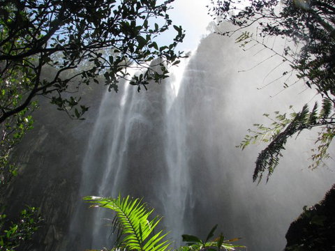 Vision Walks Eco Tours - Hervey Bay Accommodation 20