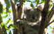 Vision Walks Eco Tours - thumb 30