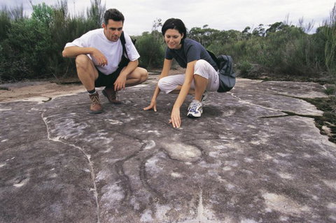 Sydney Coast Walks - Hervey Bay Accommodation 3