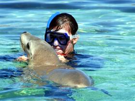 Gawler Ranges Wilderness Safaris - Hervey Bay Accommodation 2