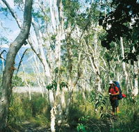 Thorsborne Trail Hinchinbrook Island National Park