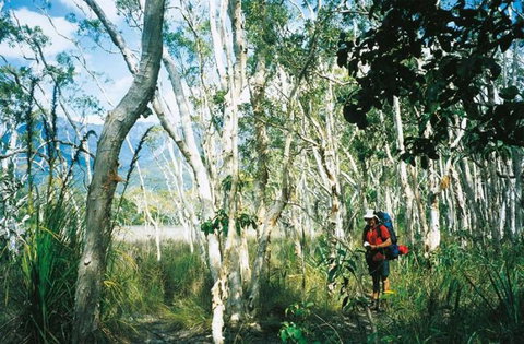Thorsborne Trail, Hinchinbrook Island National Park - Hervey Bay Accommodation 1