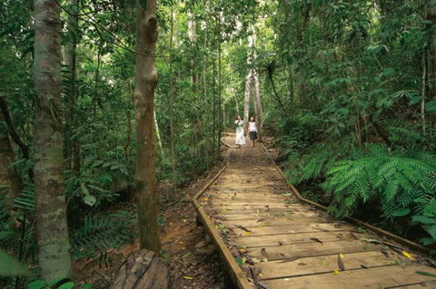 Lake Barrine Circuit Track, Crater Lakes National Park - Hervey Bay Accommodation 0