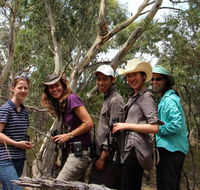 Echidna Walkabout Nature Tours - Hervey Bay Accommodation