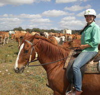 Myella Farm Stay Tours - Hervey Bay Accommodation